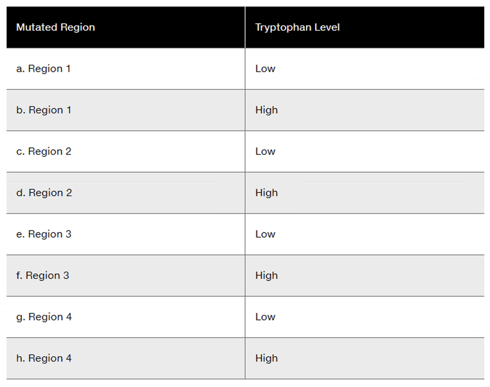 Table showing mutated regions of the trp operon and their corresponding tryptophan levels.