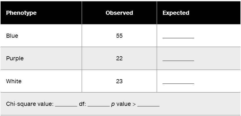 Table displaying observed and expected phenotypes for a chi-square analysis of daisy plant genetics.