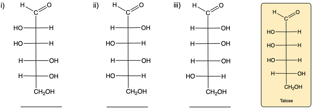 Three chemical structures of sugar isomers labeled i, ii, and iii, with a reference structure of Talose shown for comparison.