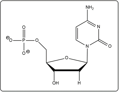 Chemical structure of UMP illustrating uracil, ribose, and phosphate group.