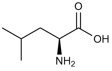Leucine structure at pH 2.0 with a net charge of +1.