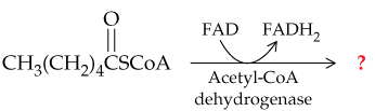 Chemical structure of hexanoic acid with reaction pathway showing Acetyl-CoA dehydrogenase and FAD/FADH2 involvement.