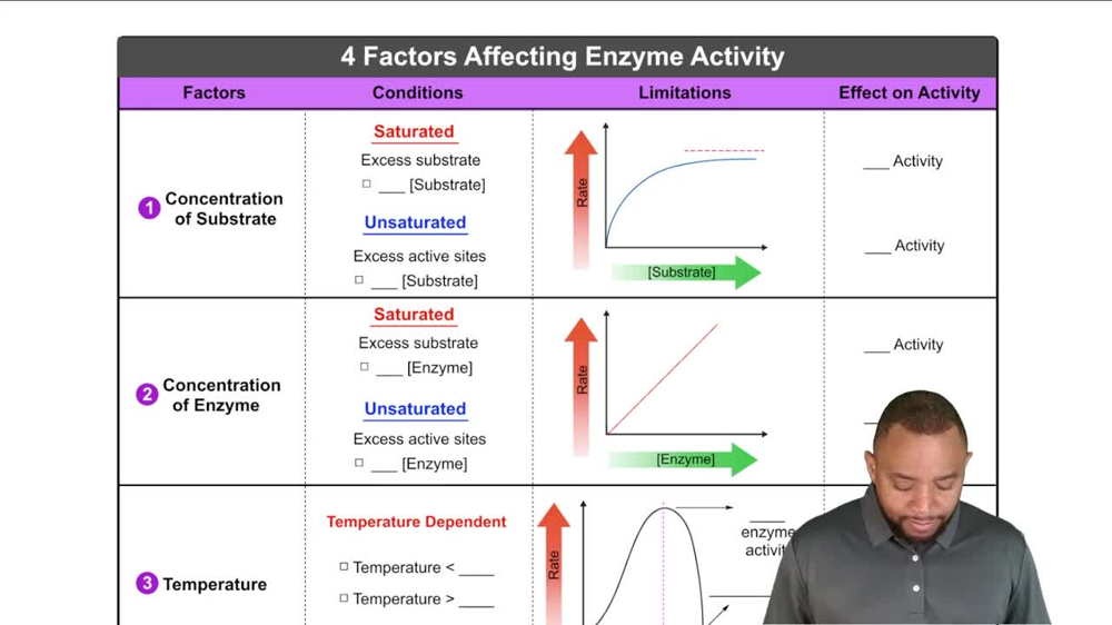 Factors Affecting Enzyme Activity Concept 2