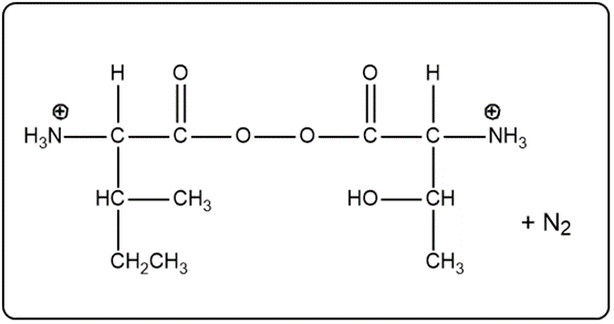 Peptide bond formation with nitrogen gas as a product.