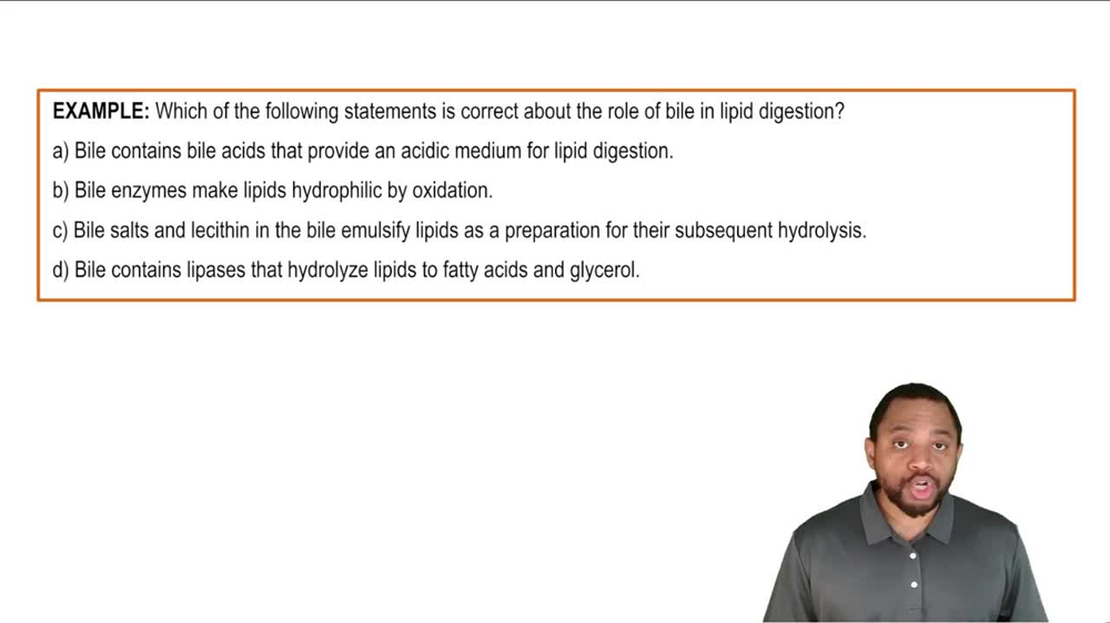 Intro to Lipid Digestion Example 1