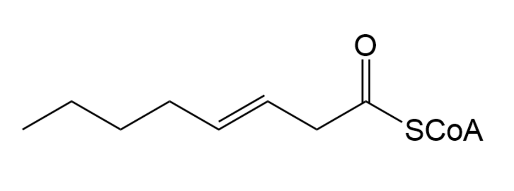 <IMAGE>
