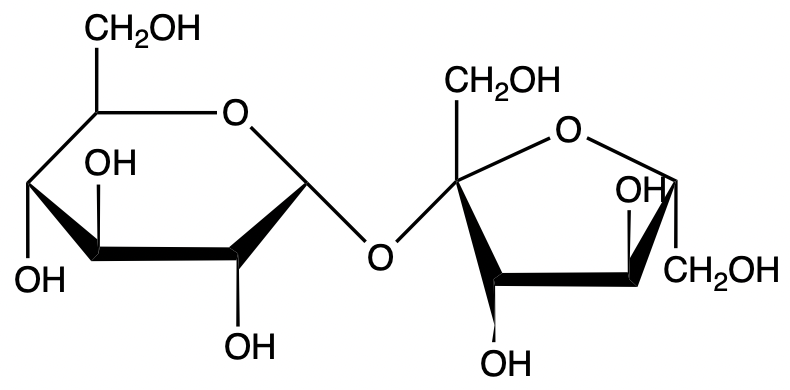 Chemical structure of β-sucrose and β-maltose disaccharides with their monosaccharide units.