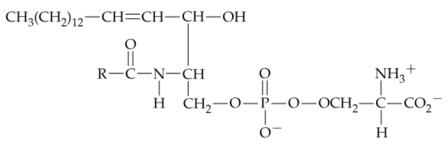Chemical structure of a triacylglycerol, highlighting functional groups and bonds for lipid analysis.
