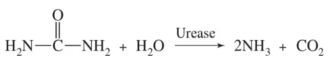 Chemical reaction showing urease catalyzing urea and water into ammonia and carbon dioxide.