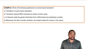 Introduction to Translation Example 1