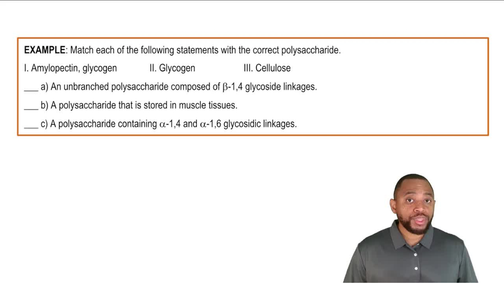 Polysaccharides Example 1