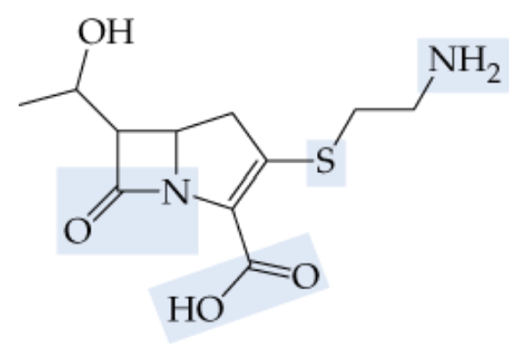 Chemical structure of thienamycin with highlighted functional groups including hydroxyl, amine, and sulfonyl groups.