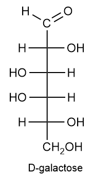 Open-chain structure of D-galactose, a monosaccharide found in milk.