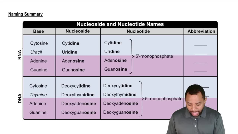 Naming Nucleosides and Nucleotides Concept 3