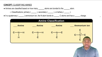 Amine Classification Concept 1