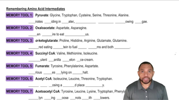 Amino Acid Catabolism: Carbon Atoms Concept 3