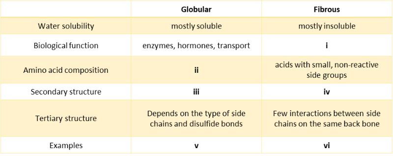 Table comparing globular and fibrous proteins on solubility, function, composition, and structure.