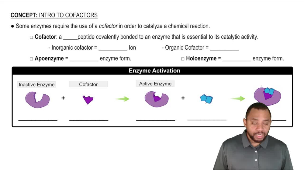 Intro to Cofactors Concept 1