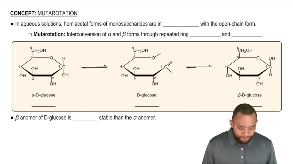 Mutarotation Concept 1