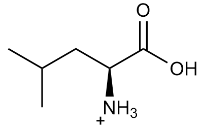 Leucine structure at pH 2.0 with a net charge of 0.