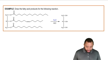 Triacylglycerol Reactions: Hydrolysis Example 1