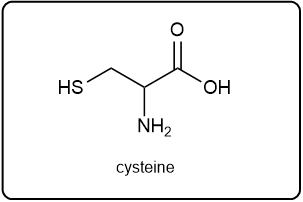 Chemical structure of cysteine, an amino acid represented by the letter C.