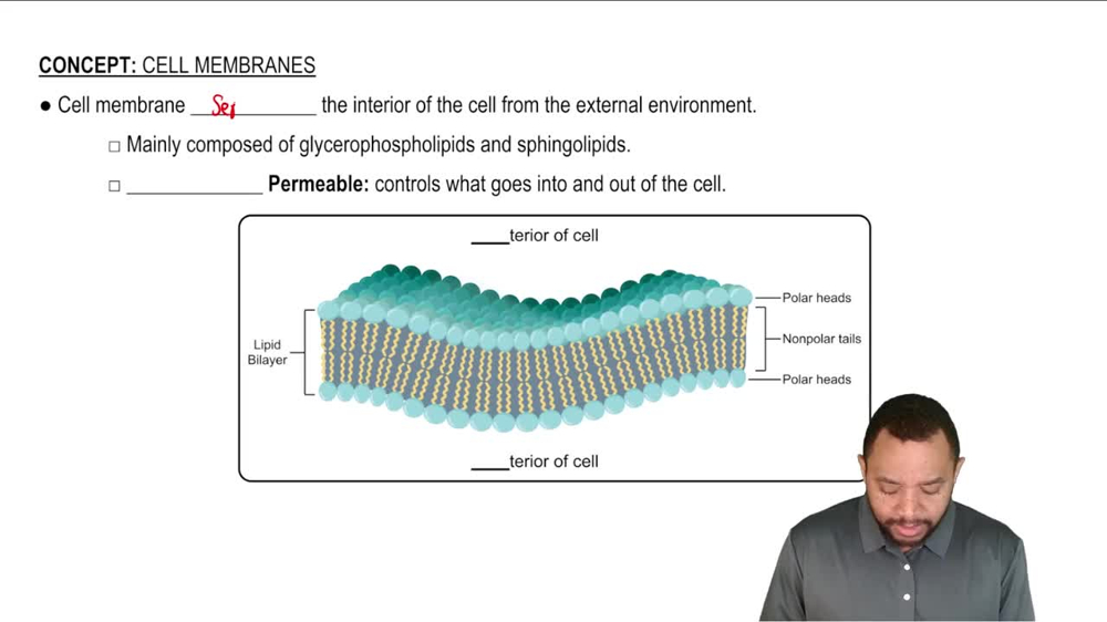Cell Membranes Concept 1