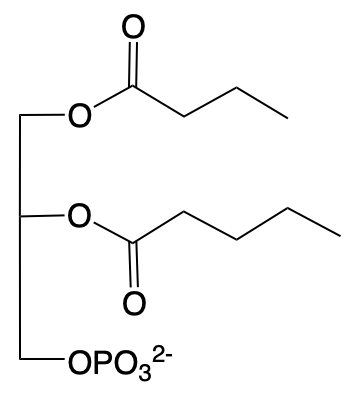 Chemical structure of a glycerophospholipid, relevant to fatty acids in lipids.