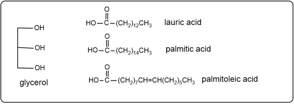 Products of saponification: lauric acid, palmitic acid, and palmitoleic acid.