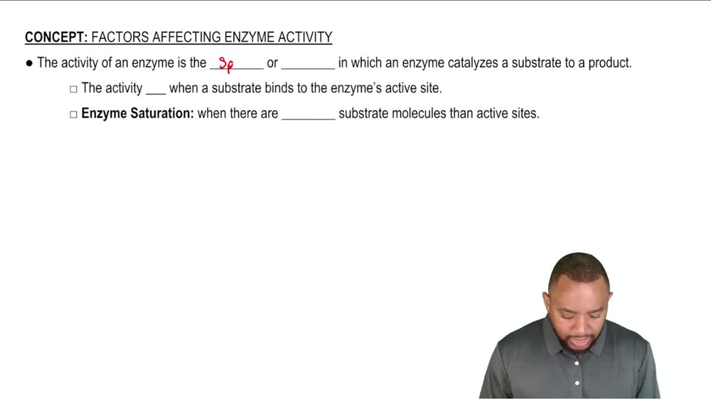 Factors Affecting Enzyme Activity Concept 1
