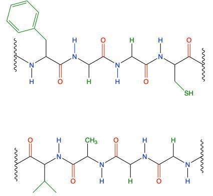 two peptides