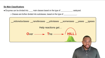Six Main Classifications Concept 3