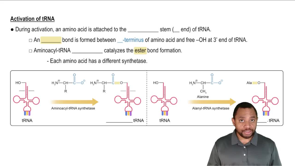 Introduction to Translation Concept 2