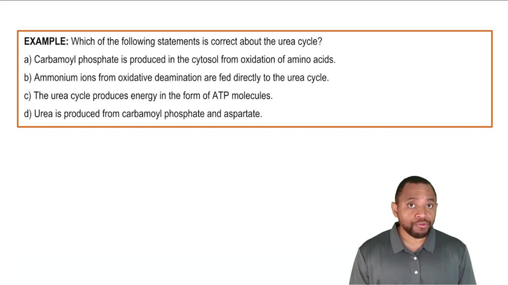 Intro to Urea Cycle Example 2