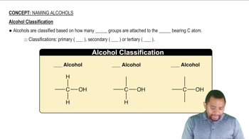 Alcohol Classification Concept 2