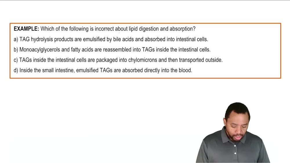 Digestion of Lipids Example 1