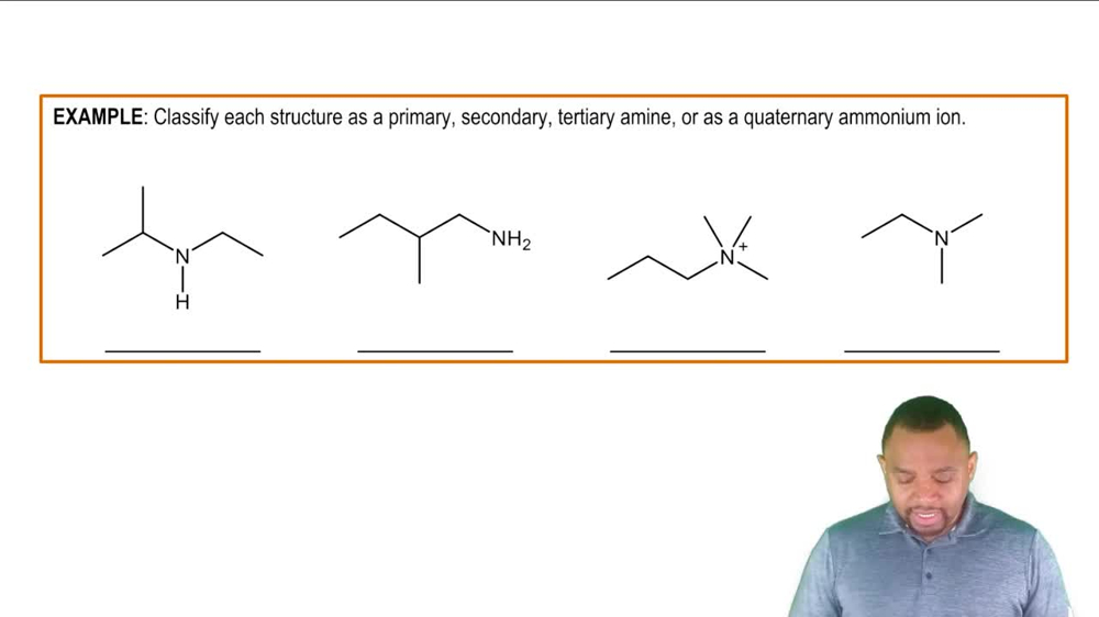 Amine Classification Example 1