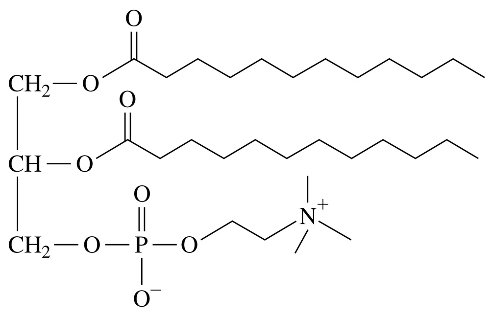Chemical structure of a glycerophospholipid, showing glycerol backbone, fatty acid chains, phosphate, and nitrogen group.