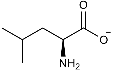 Leucine structure at pH 2.0 with a net charge of -1.