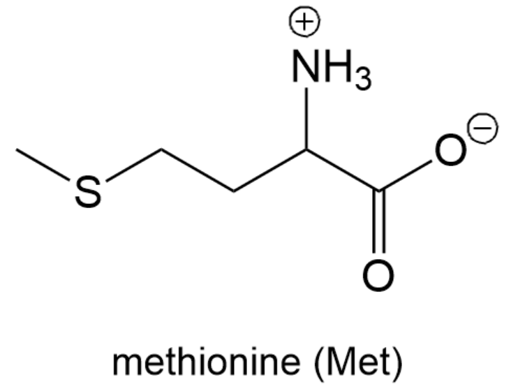 <IMAGE>