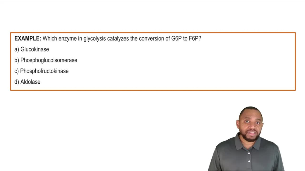 Glycolysis Summary Example 2