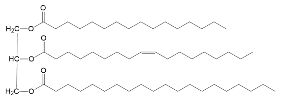 Triacylglycerol structure for lipid digestion with pancreatic lipase.