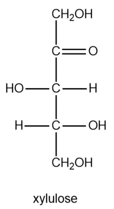 <IMAGE>