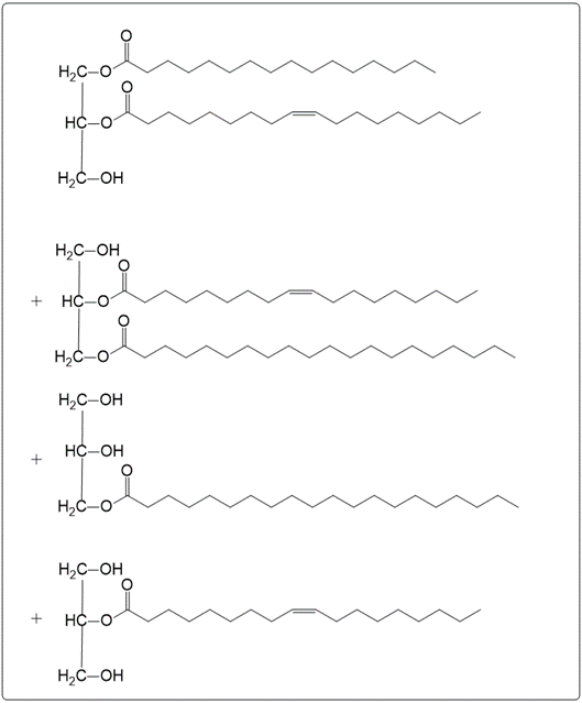 Hydrolysis products of triacylglycerol with hydroxyl groups and bonds illustrated.