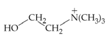 Chemical structure of choline, showing hydroxyl and quaternary ammonium groups.