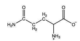 glutamine structure