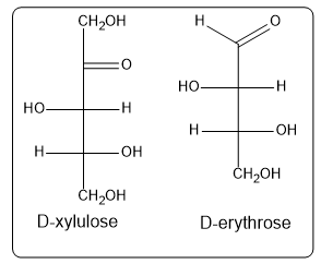 Fischer projections of D-xylulose and D-erythrose showing their chiral centers.