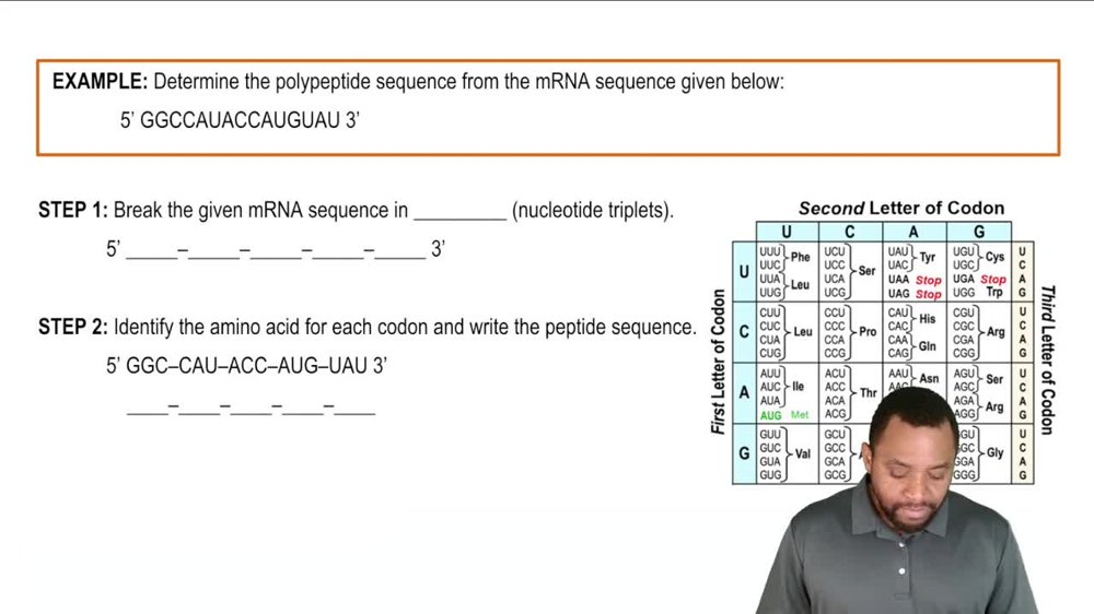 The Genetic Code Example 1