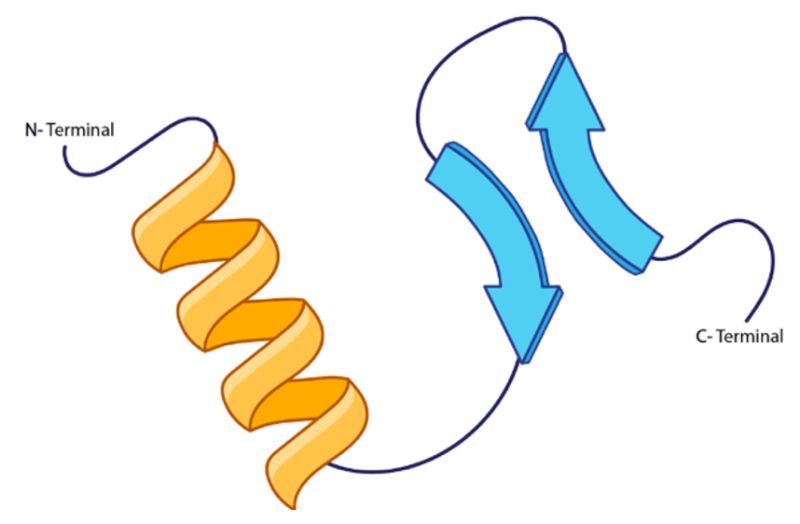 peptide strand