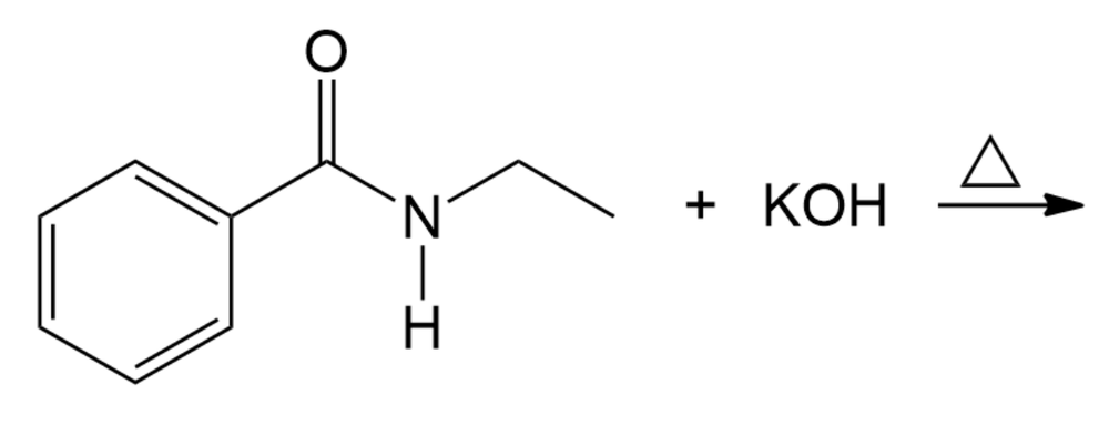<IMAGE>
